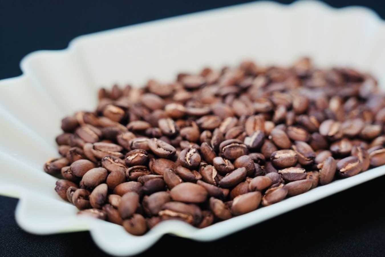 NO ASSHOLE & 秩序感